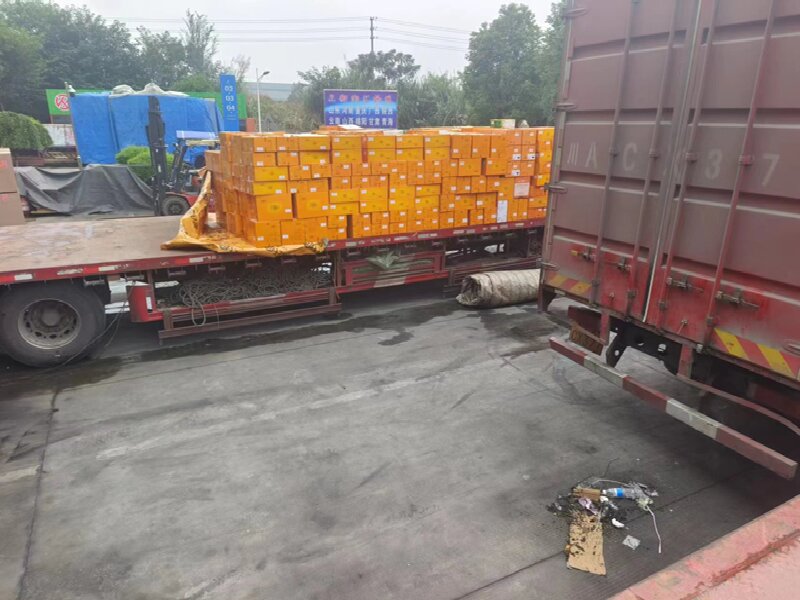 宁波到甘洛县货运公司