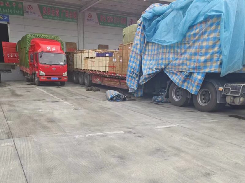 宁波到苍溪县货运公司